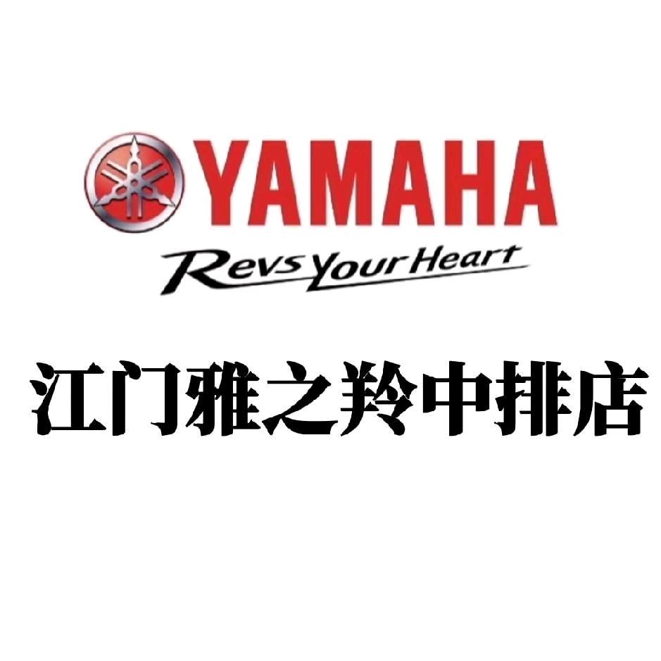 广东江门雅之羚中排店直播号2