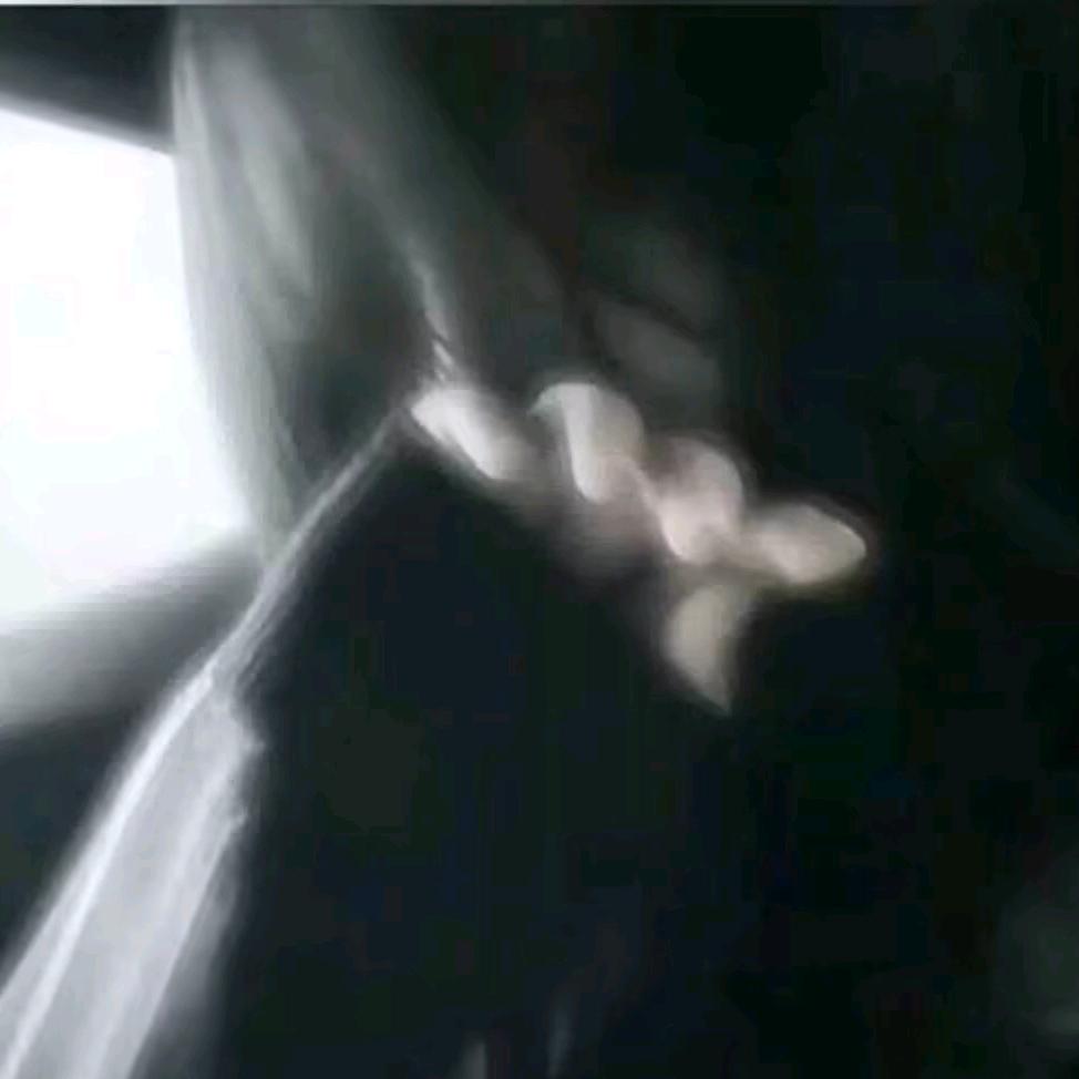 ♛