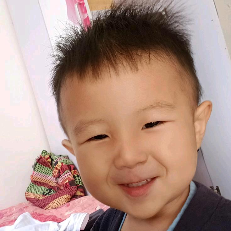 大树👮👍