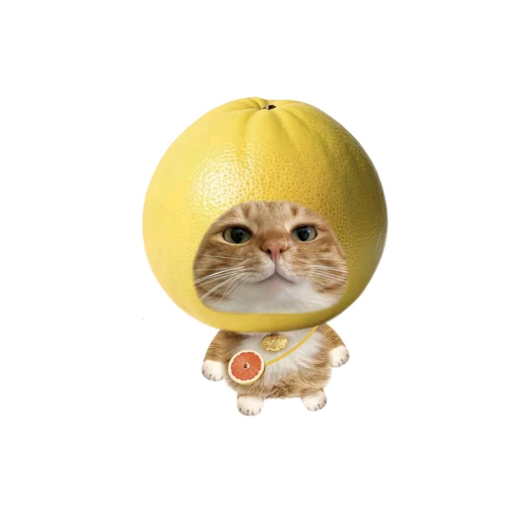 嘻嘻