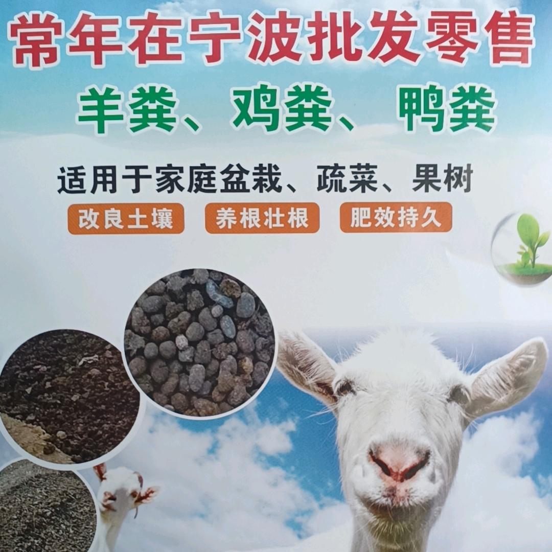 小武常年在宁波批发零售有机肥羊粪鸭粪