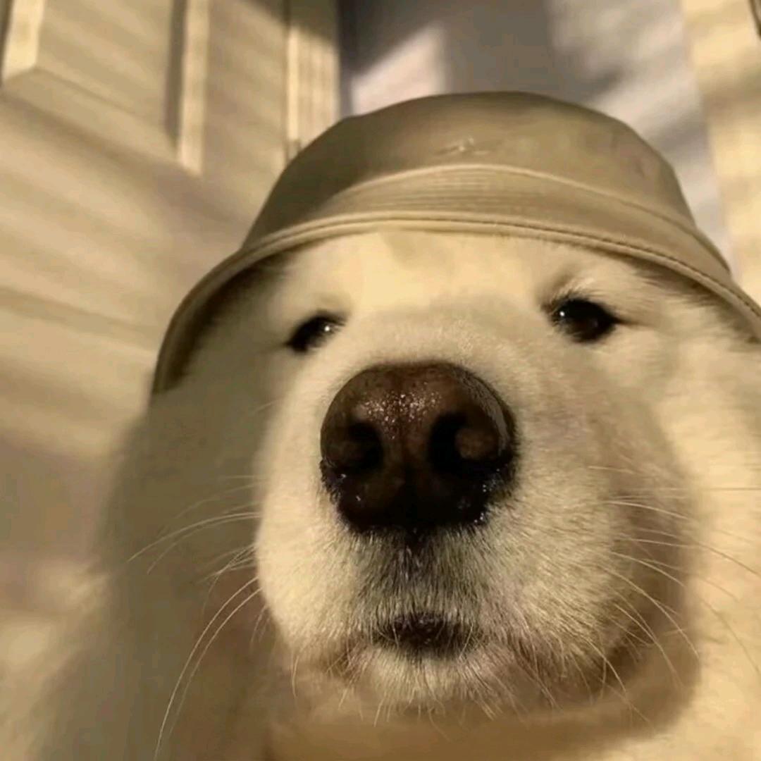 一