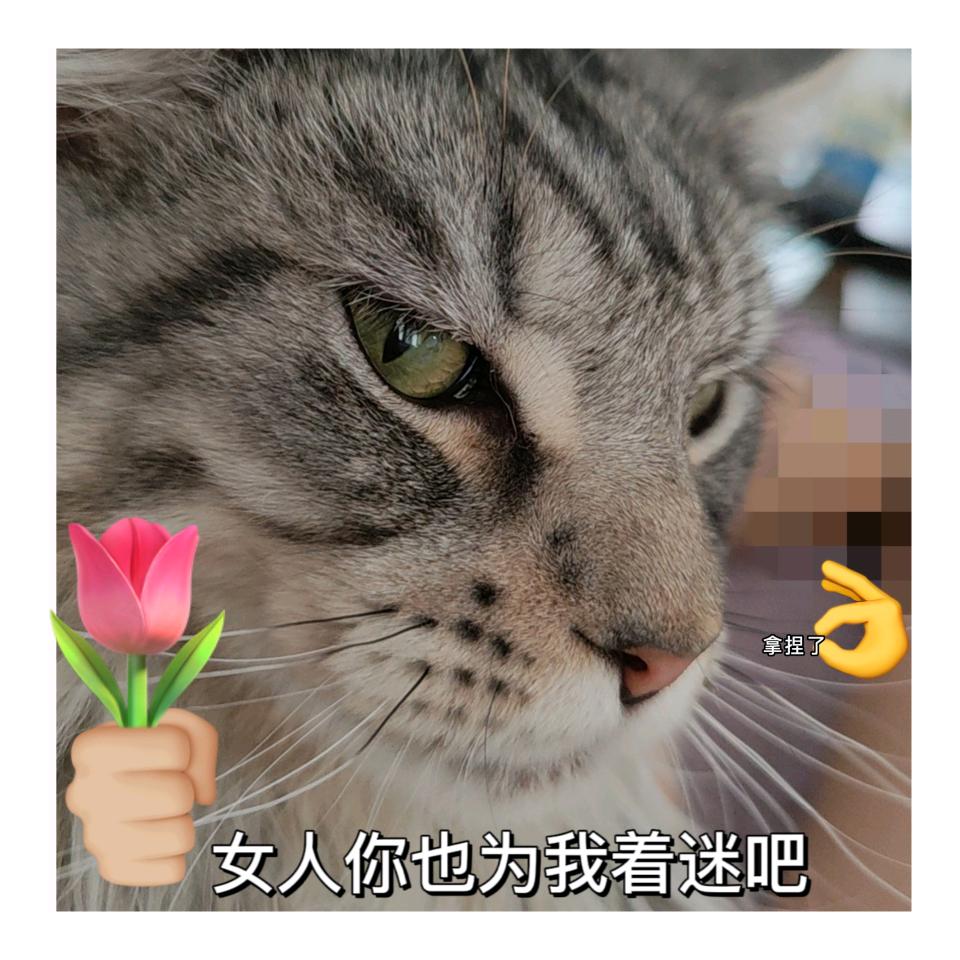虎妈，头像