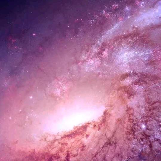 玉龙元农品汇草原杂粮铺