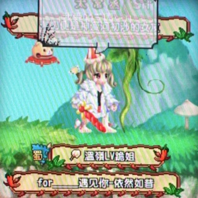 三国柜姐
