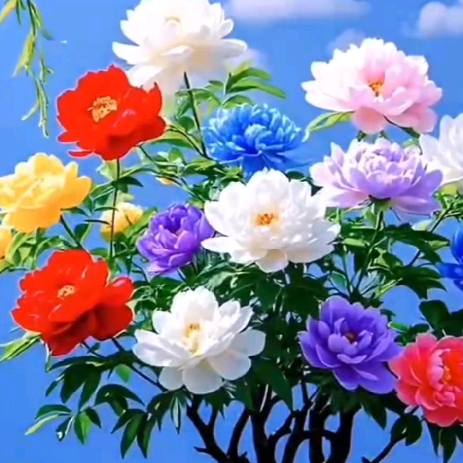 情深意重