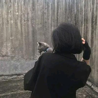 阿清字画工作室