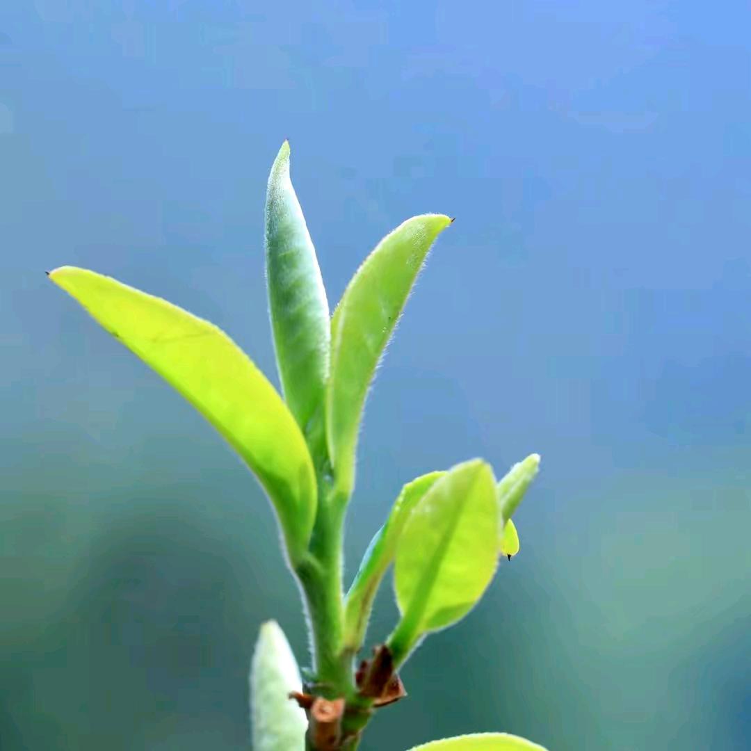 用户1042928143659