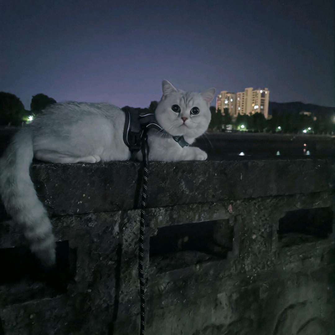 六✨一