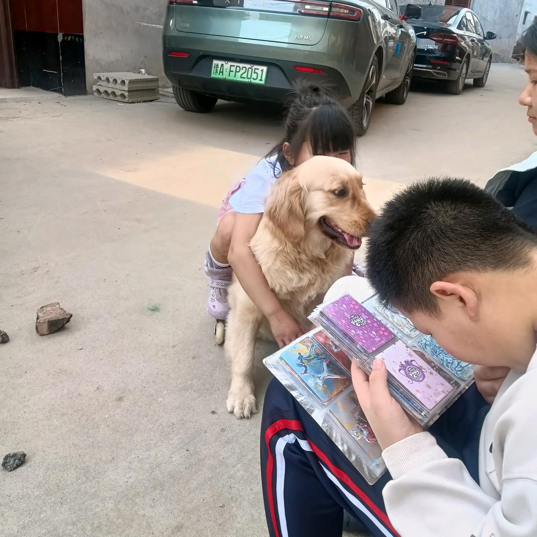 一定能好