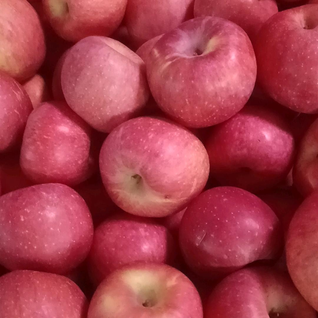 狼哥卡车卖水果