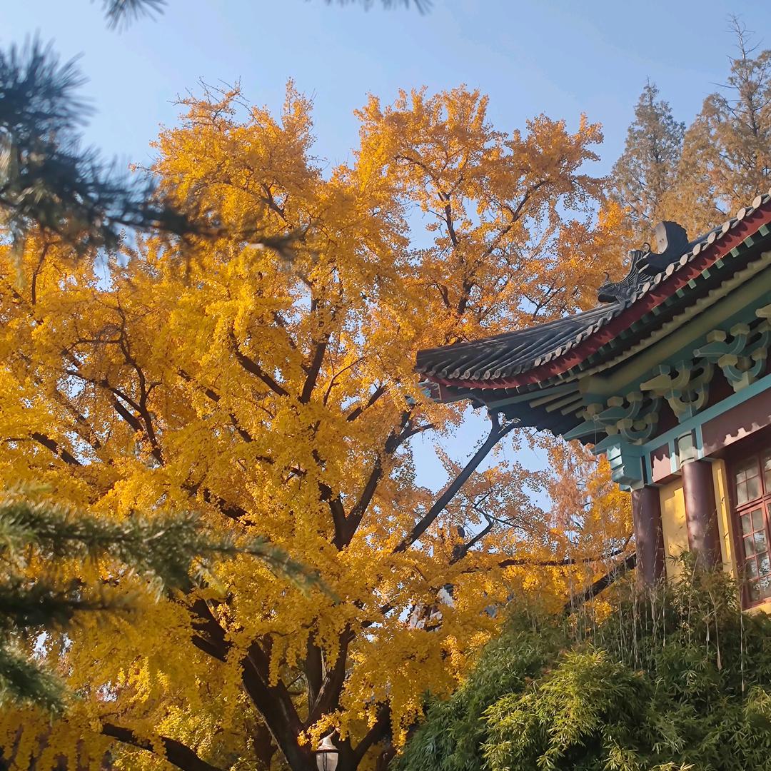大城小埃