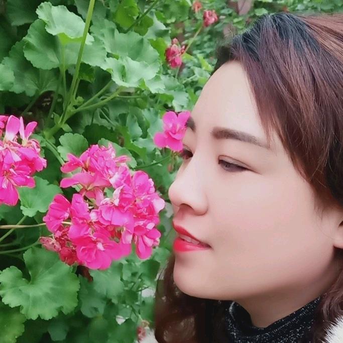 做个自由的小燕子