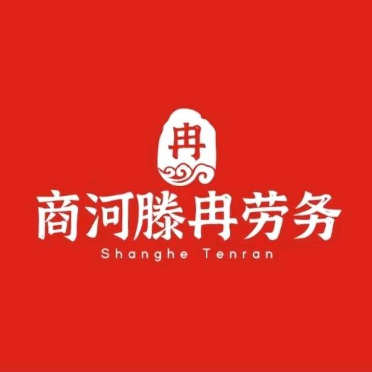 商河滕冉劳务招聘