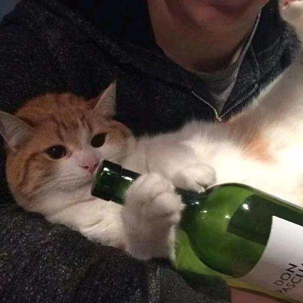 唉还不能唉了？