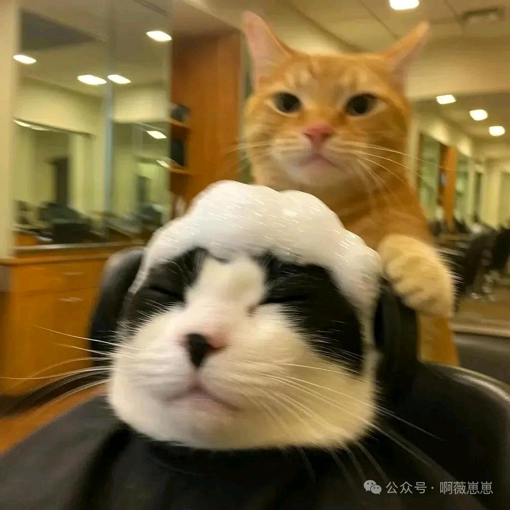 咪先生