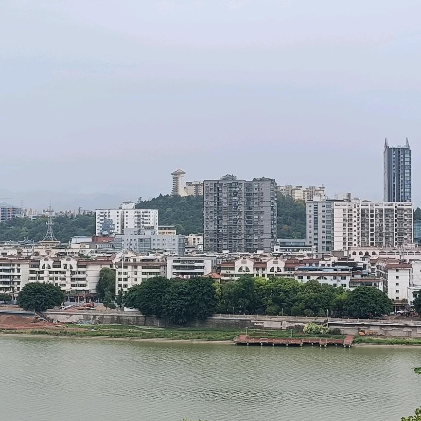 为爱执着