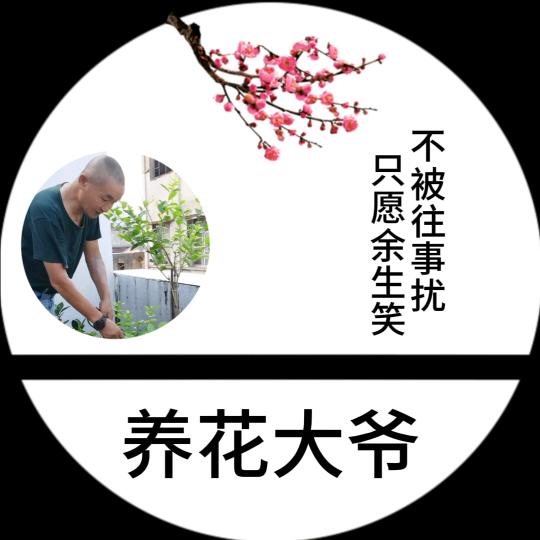 养花大爷
