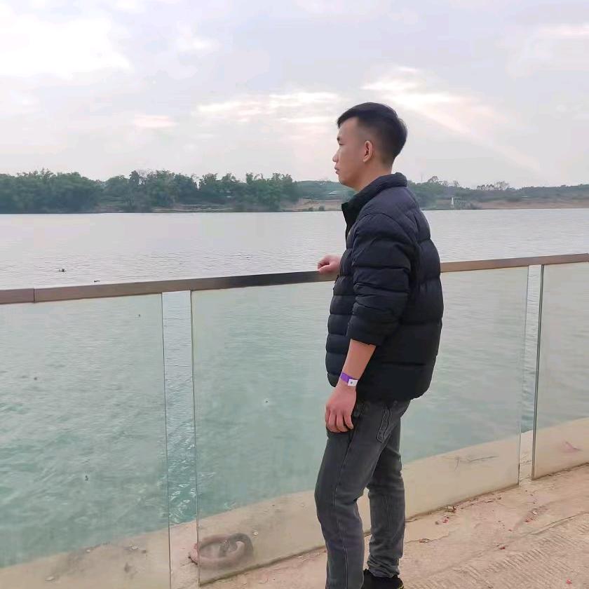 南方的游客【万总】