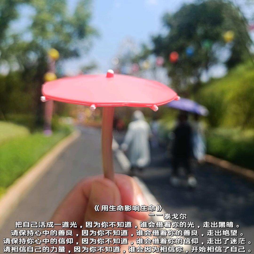小高高