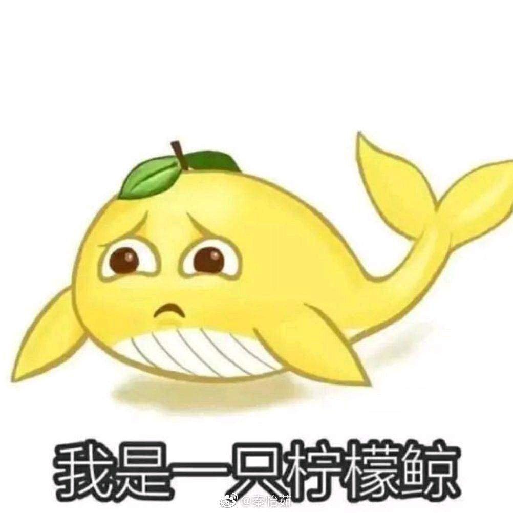 恋综十级爱好者