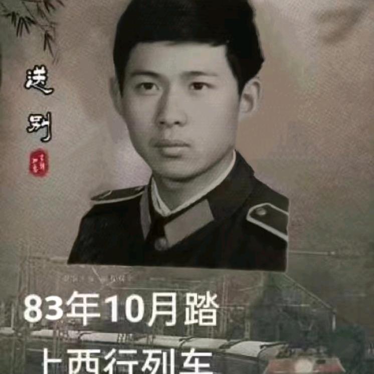 三门峡美客壁布窗帘