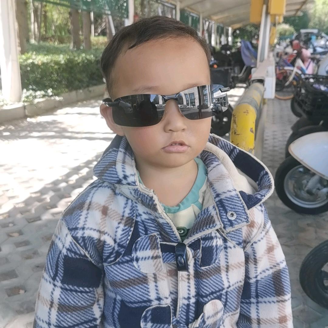 站在风口上猪都能飞起来