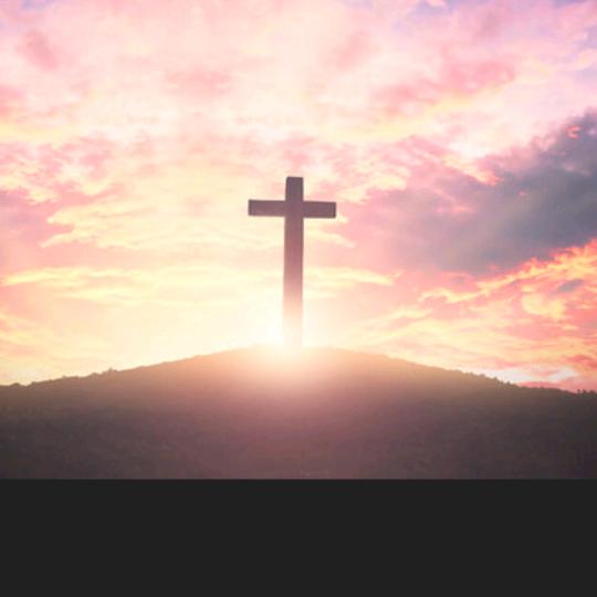 中国🇨🇳好男人