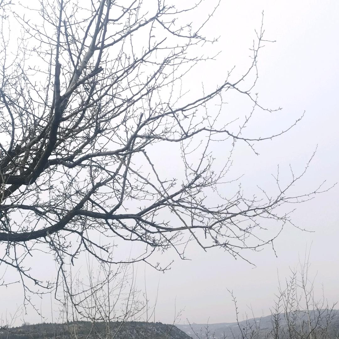 亿