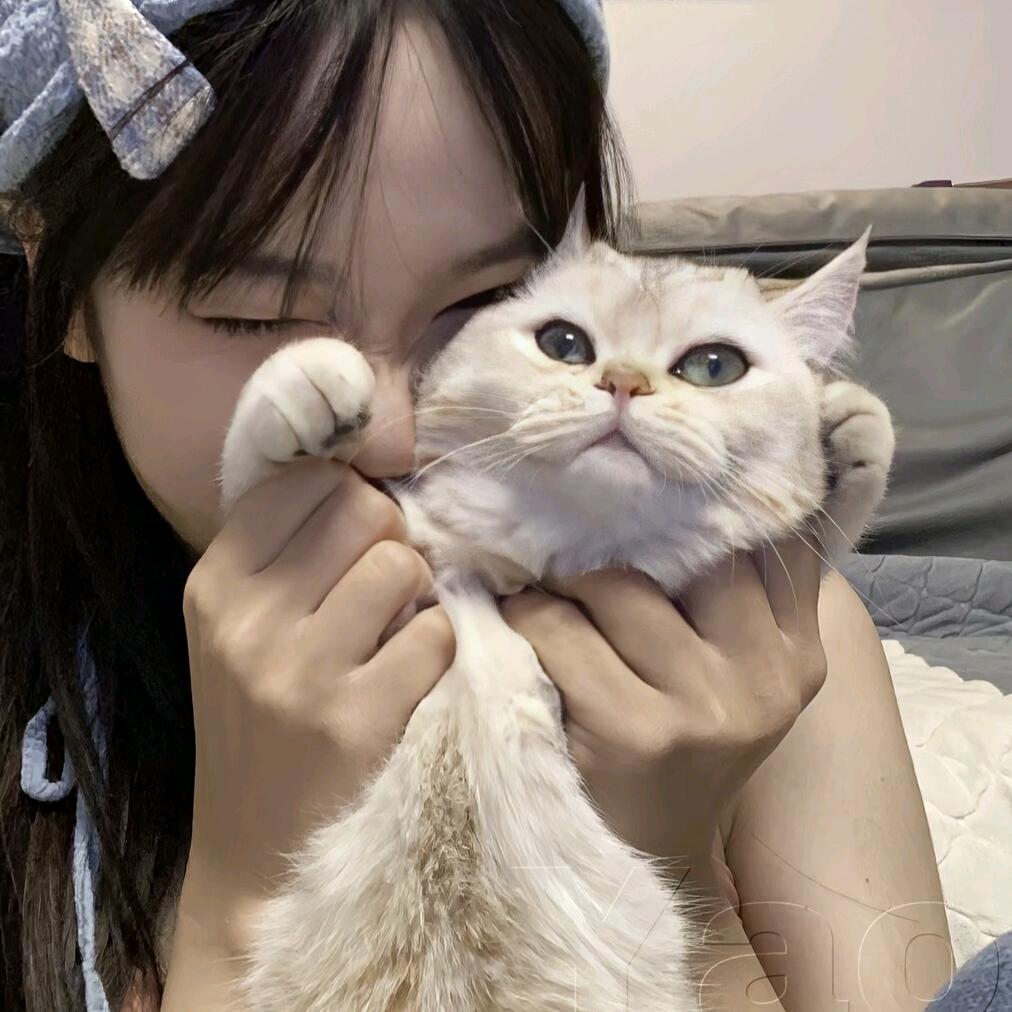 嫦訾策