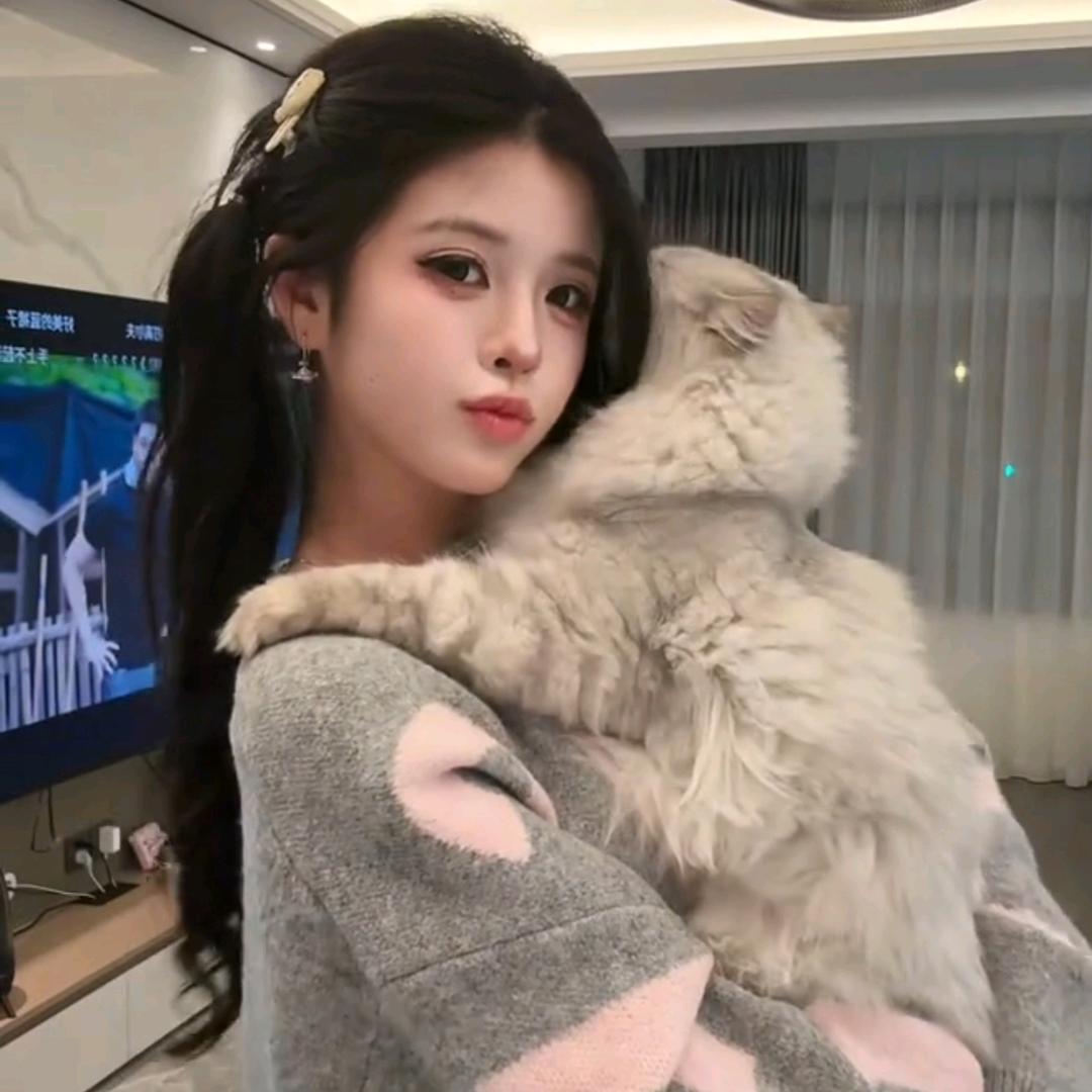 11🐍（淡更版）🅥