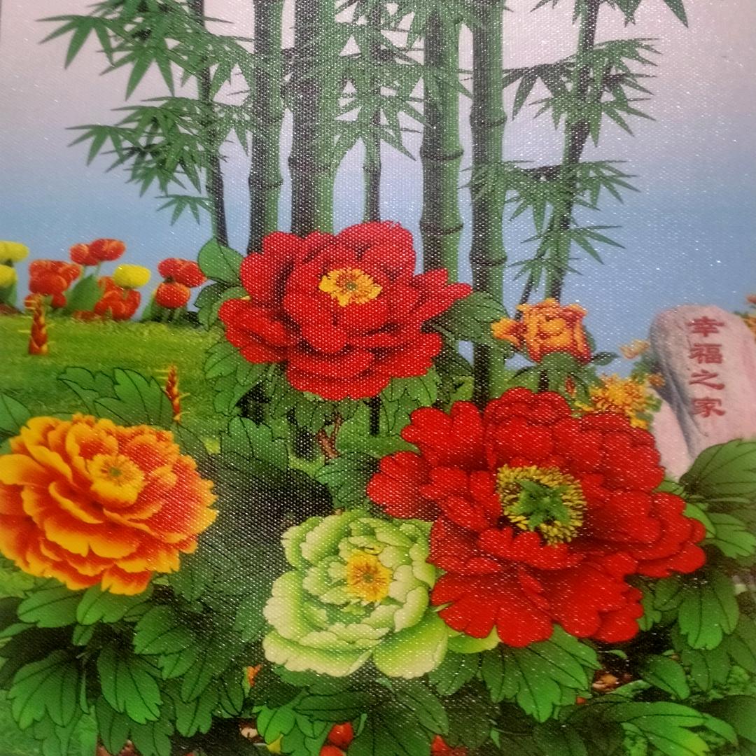 单身刘中文
