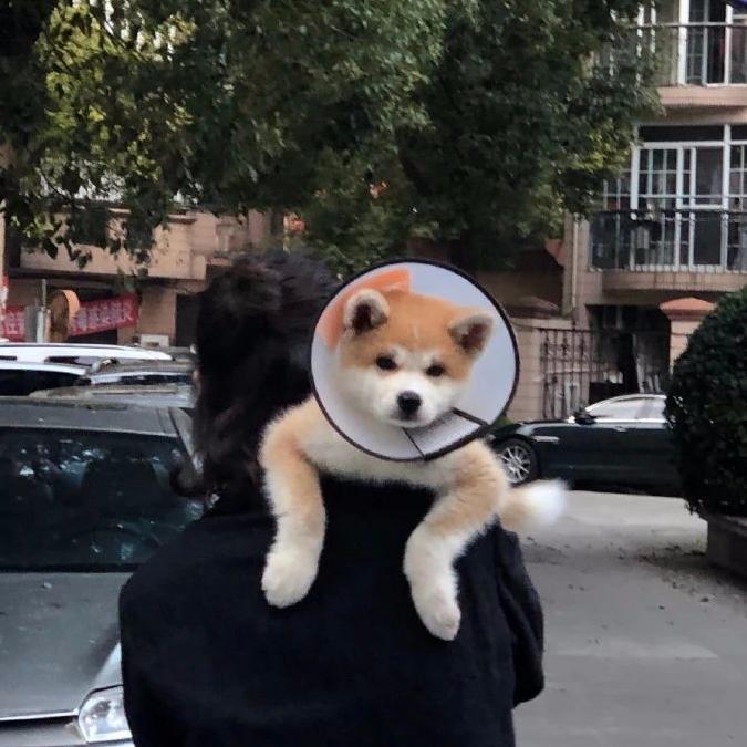 知识旅行家