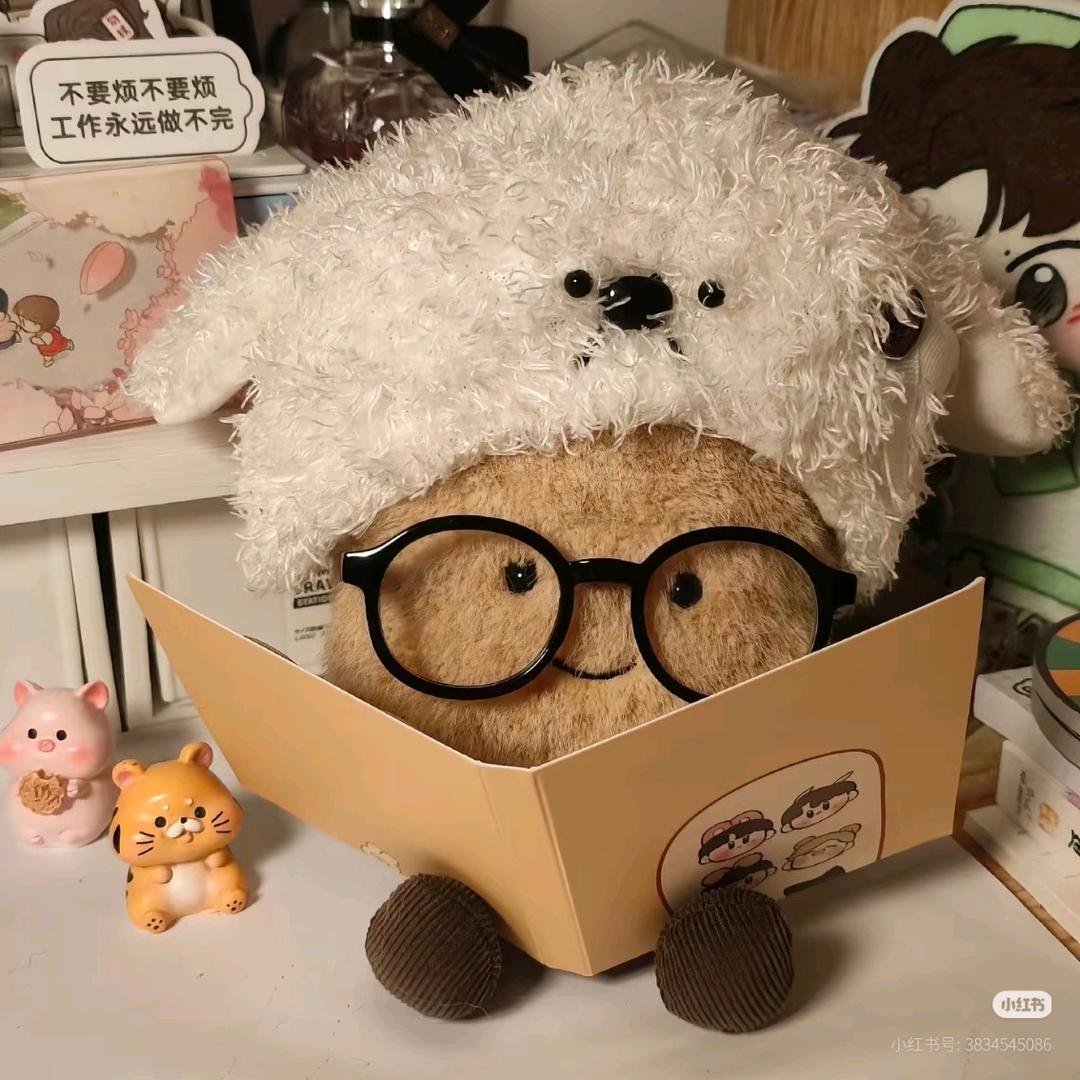 🌈小熊猫