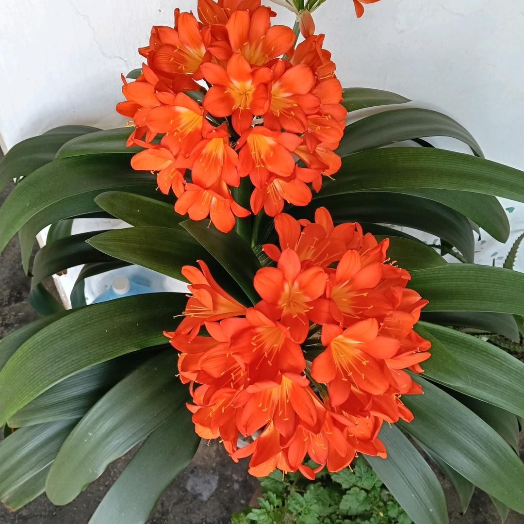 孙老师