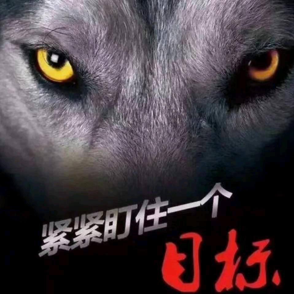 紧紧盯住一个目标