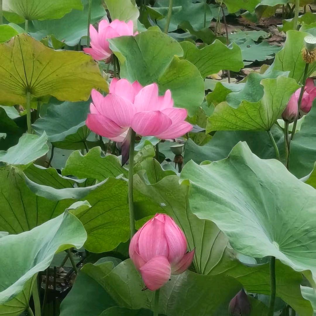开心每一天