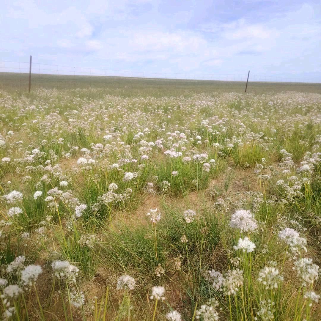 👨‍👩‍👧‍👦💄格格