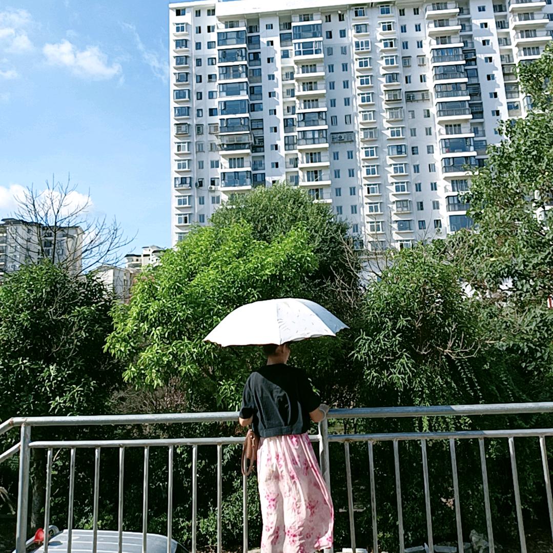 绵绵羊🐏