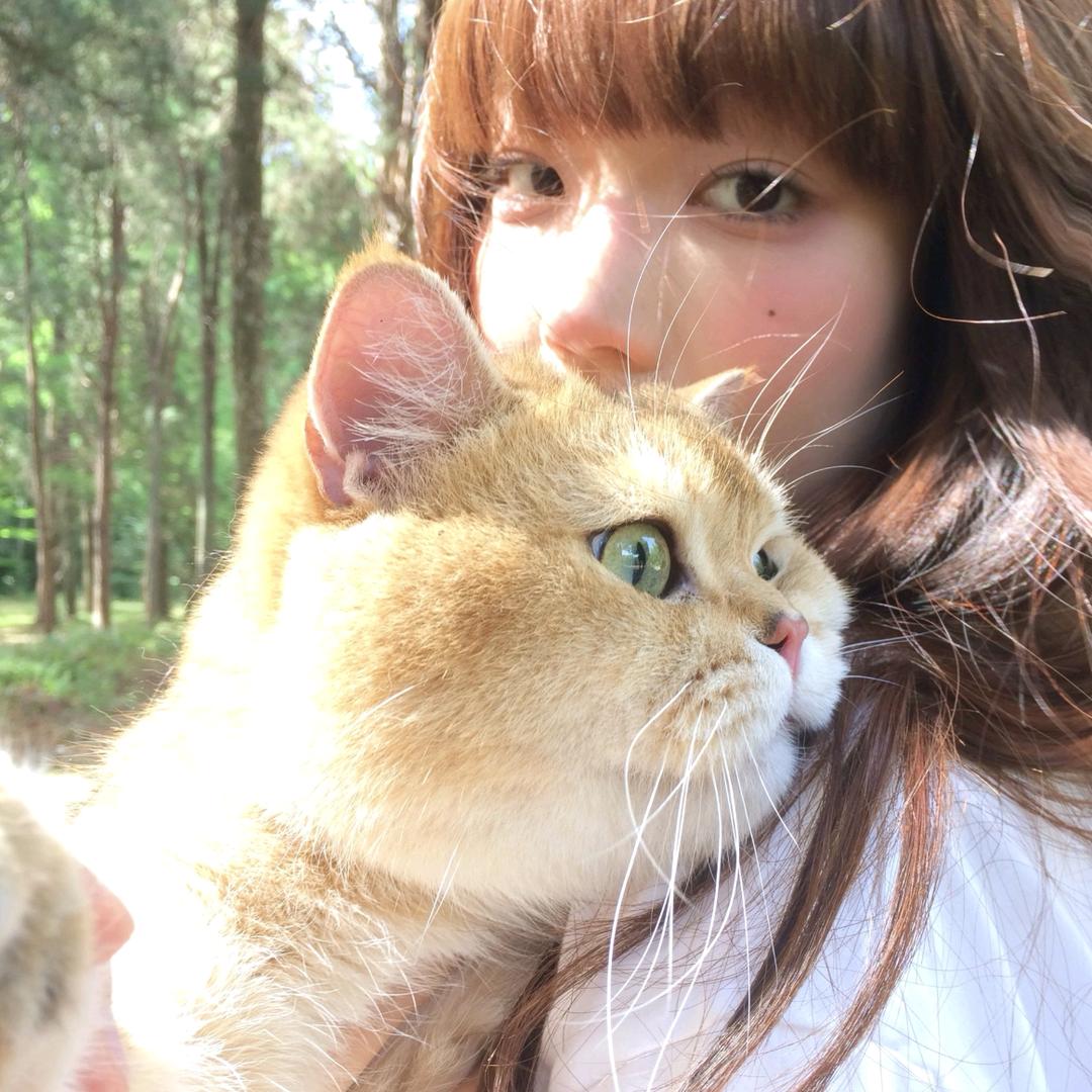 湫✨