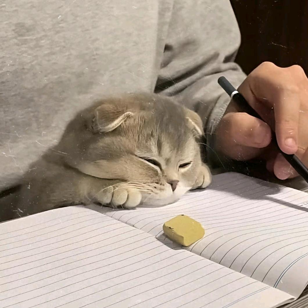 苏辰不吃糖