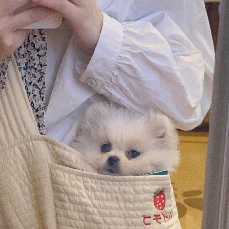 小雨爱吃鱼