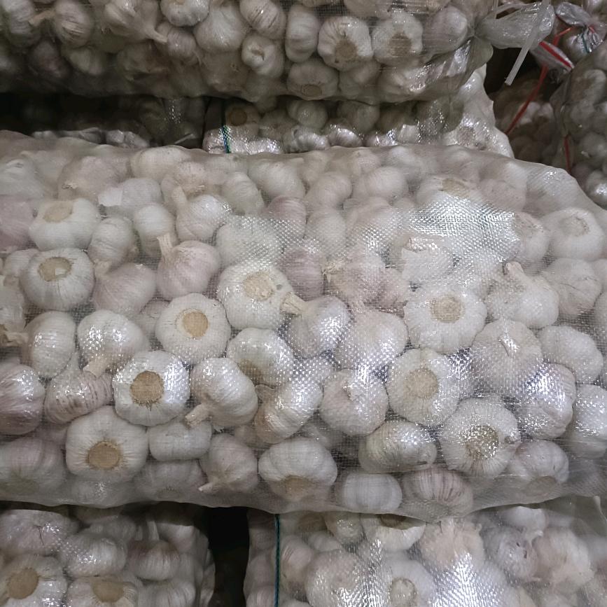 祥宜蒜业