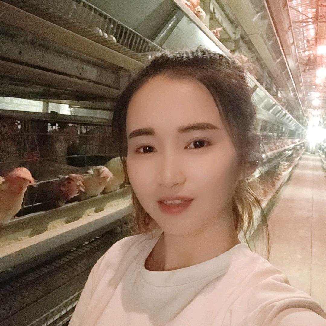 会理蛋鸡养殖
