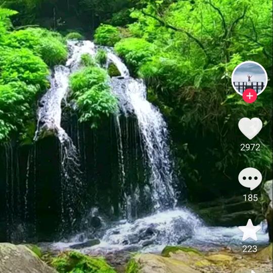 王芳美发洗面小儿推拿