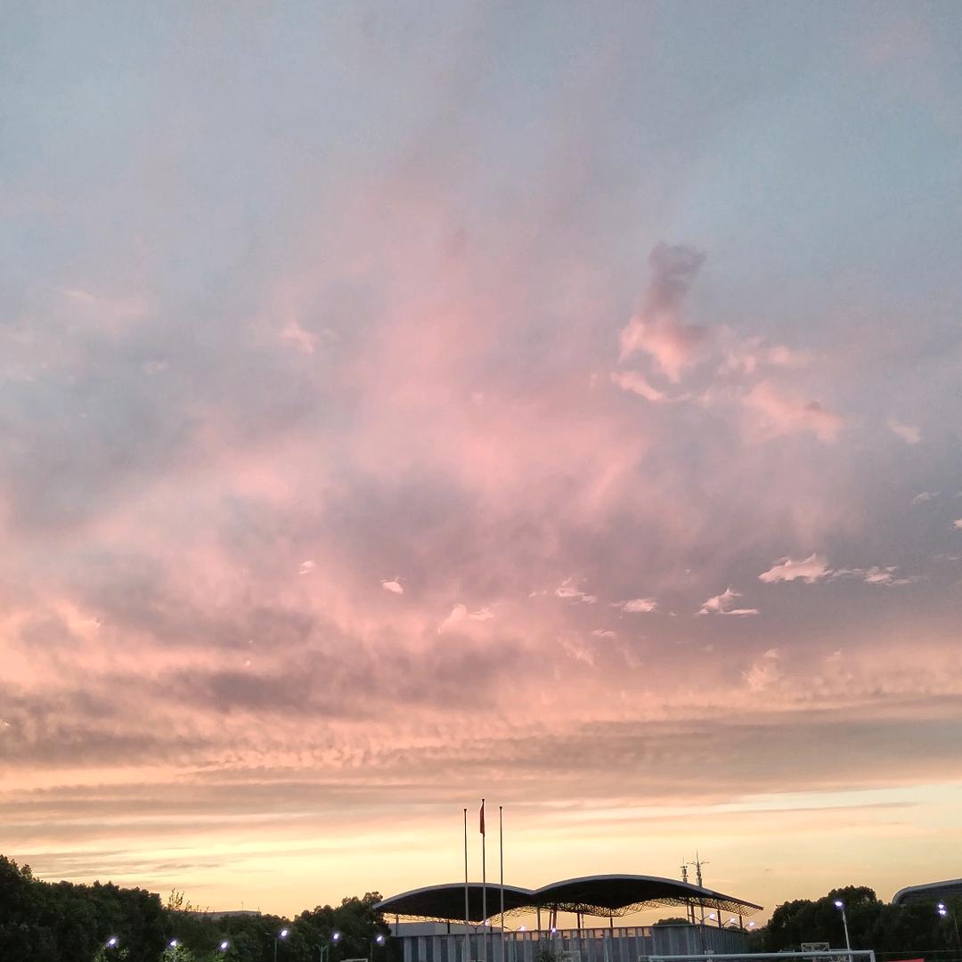 也想吃记忆面包