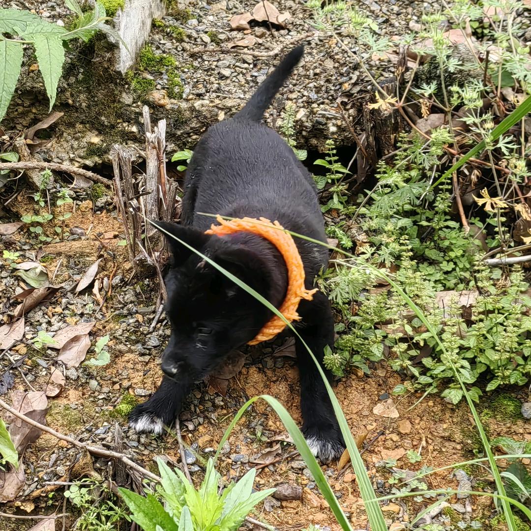 谢三哥百合家庭农场