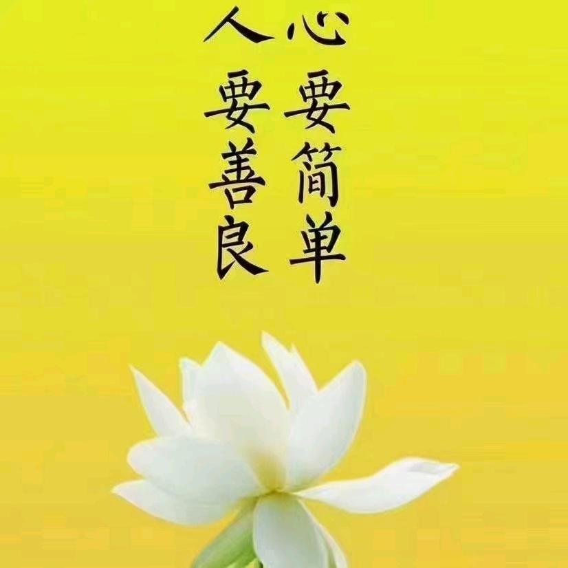 萍水相逢（肖）