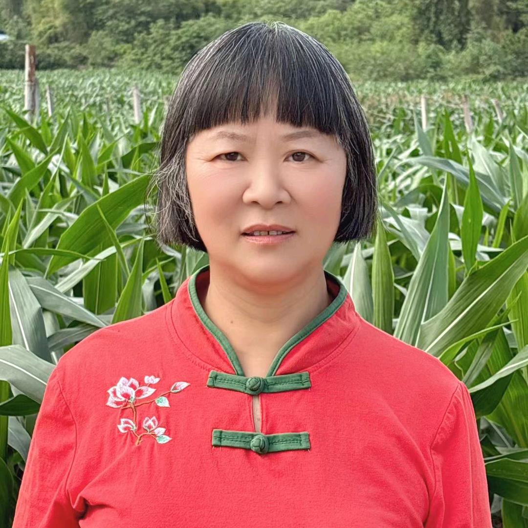 阳姐14：30