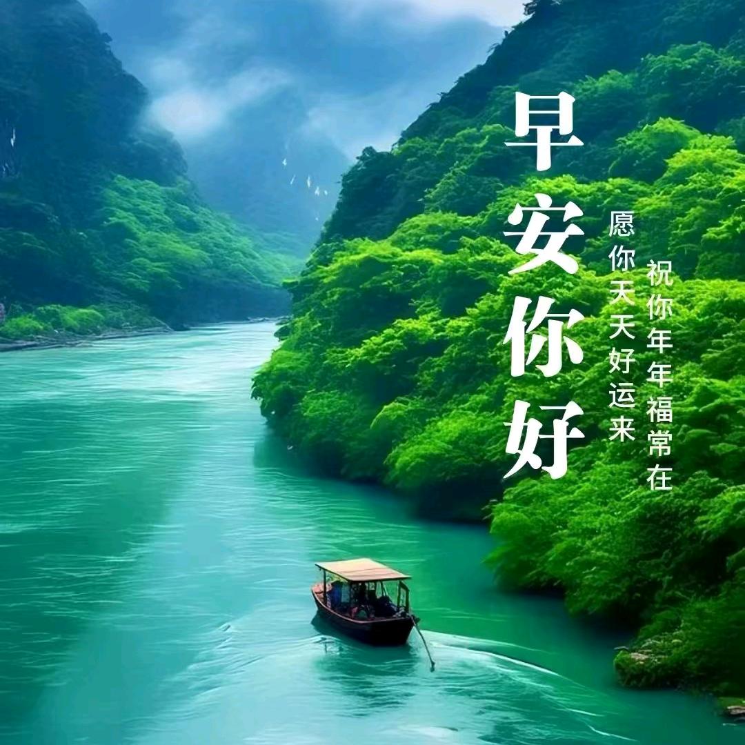 家有一宝